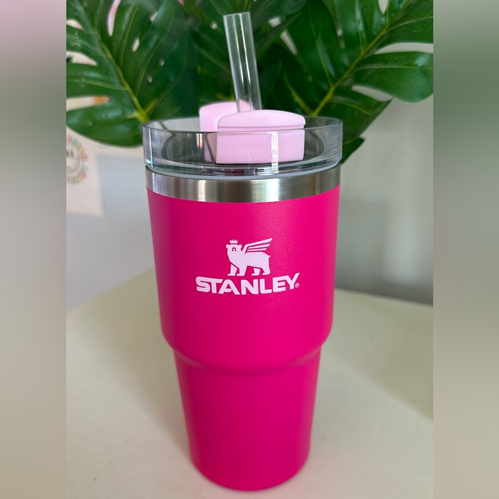 20oz hot pink Stanley cup
